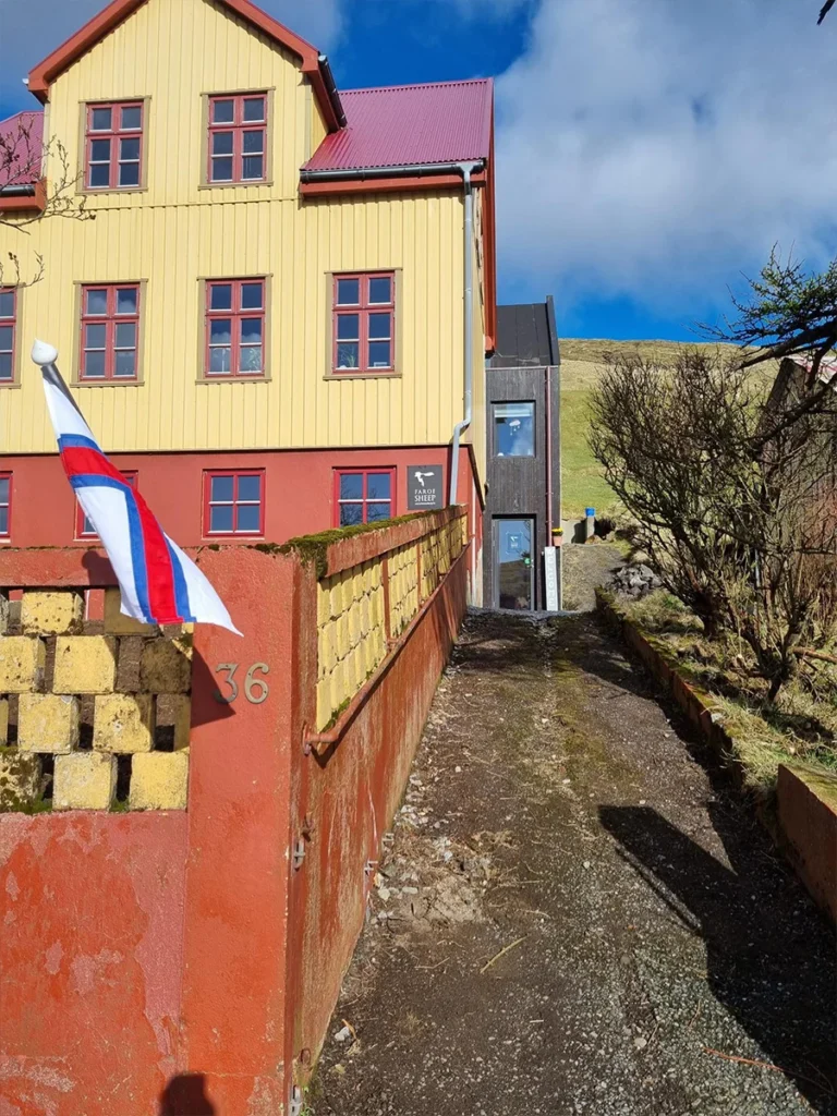 Faroe Sheep